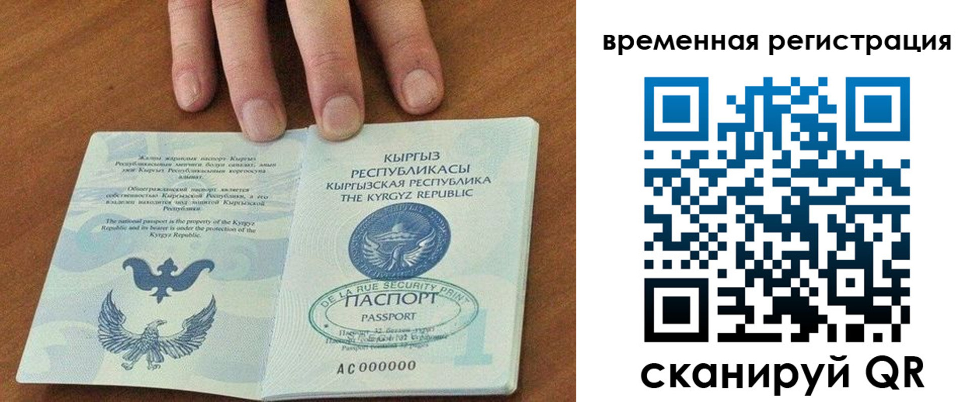 где прописаться в Вольске